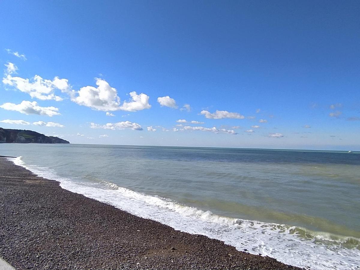 Jolie Maison En Bord De Mer A Pourville Hautot-sur-Mer エクステリア 写真